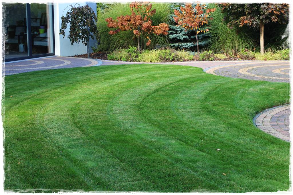 mieszanki trawnikowe 10a