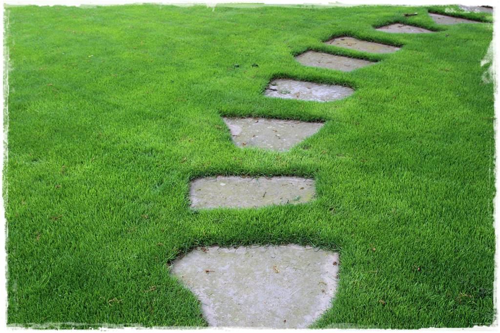 mieszanki trawnikowe 10f