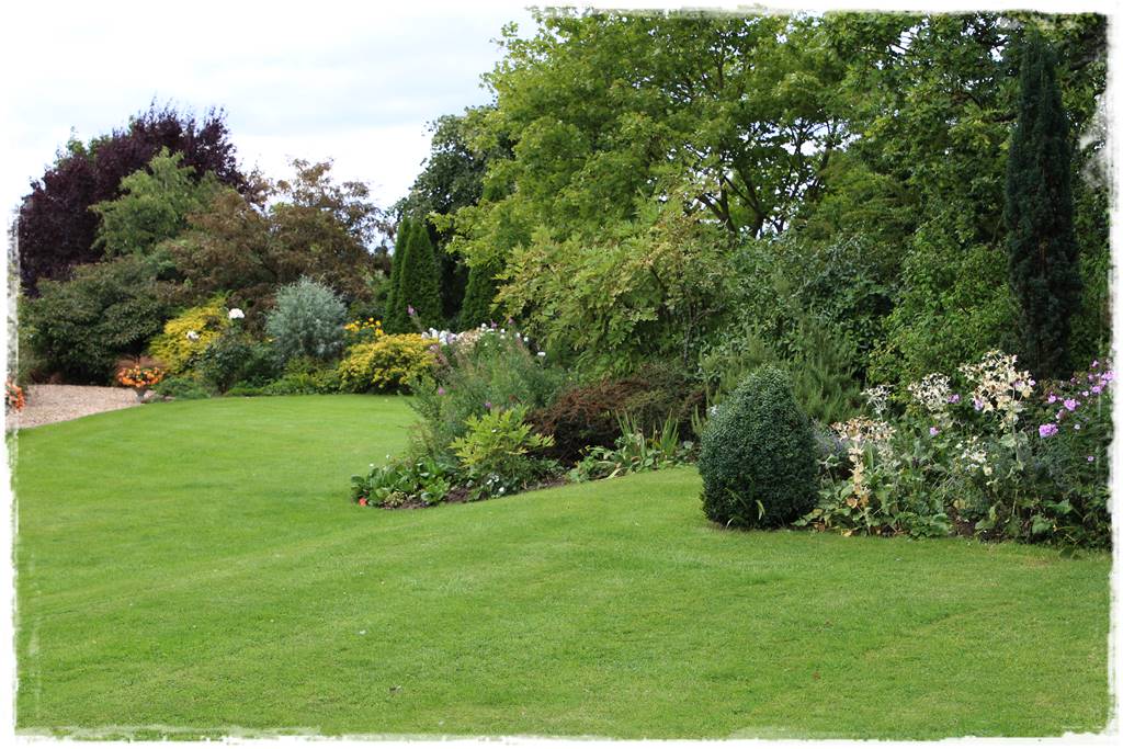 mieszanki trawnikowe 20b