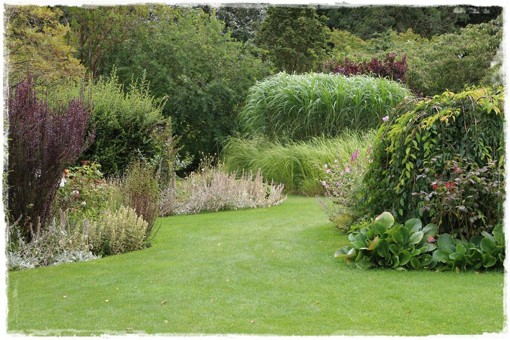 mieszanki trawnikowe 20c