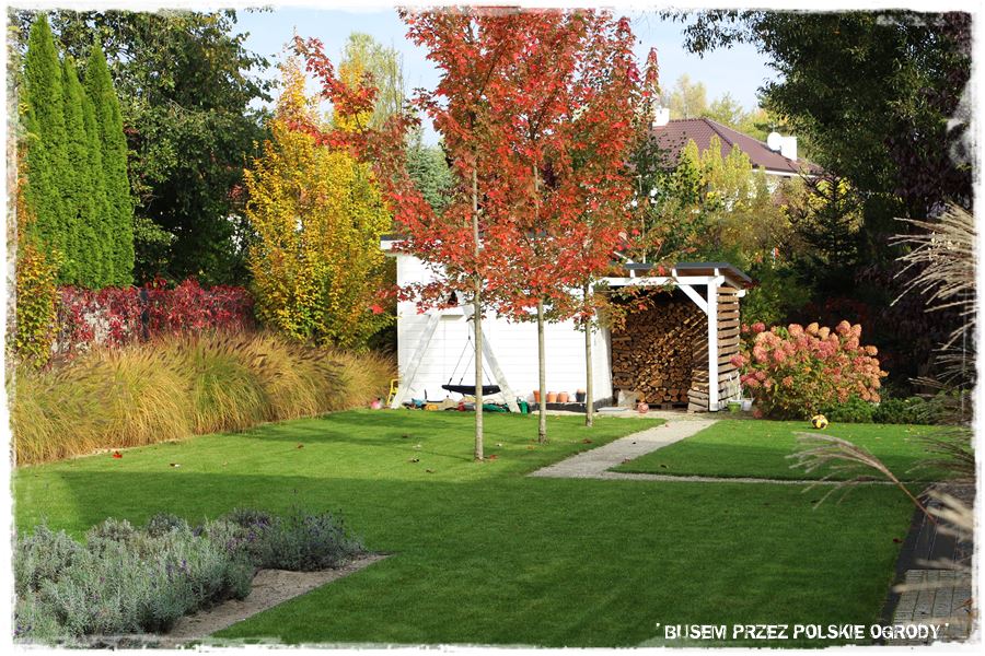 mieszanki trawnikowe 30a