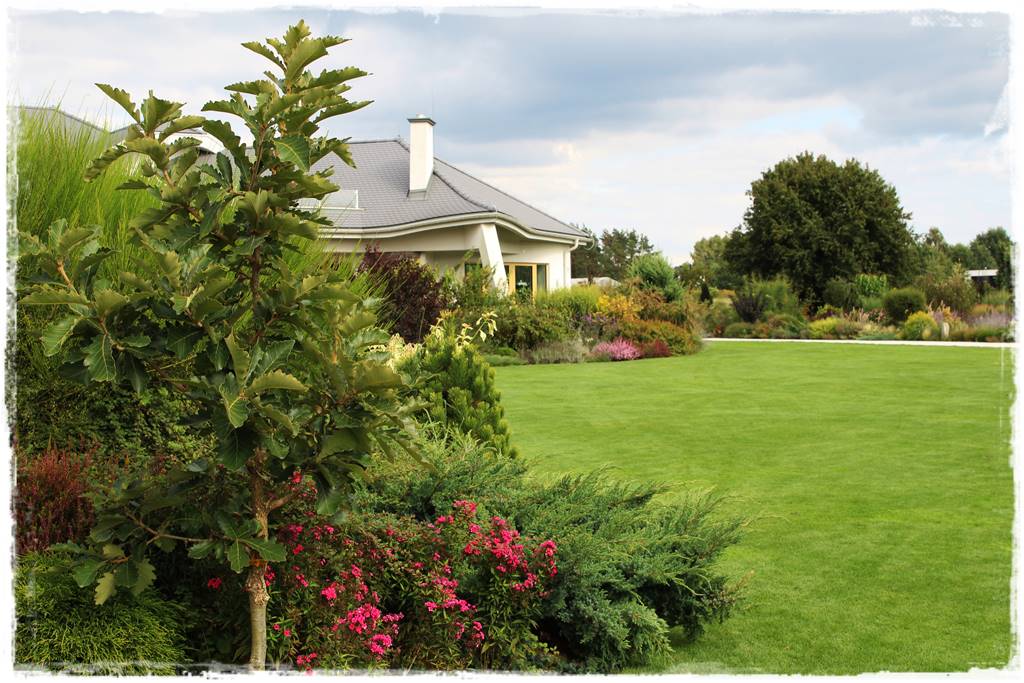 mieszanki trawnikowe 30dd