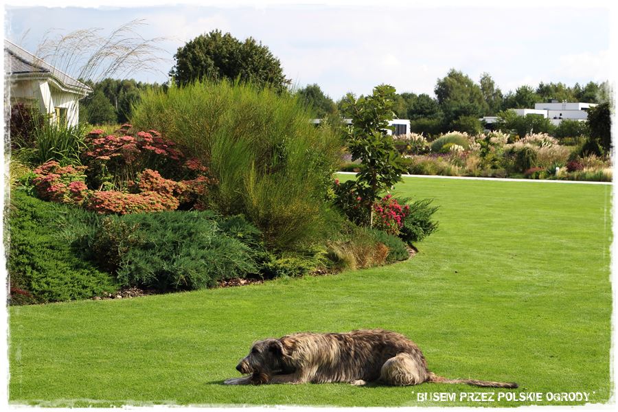 mieszanki trawnikowe 30e