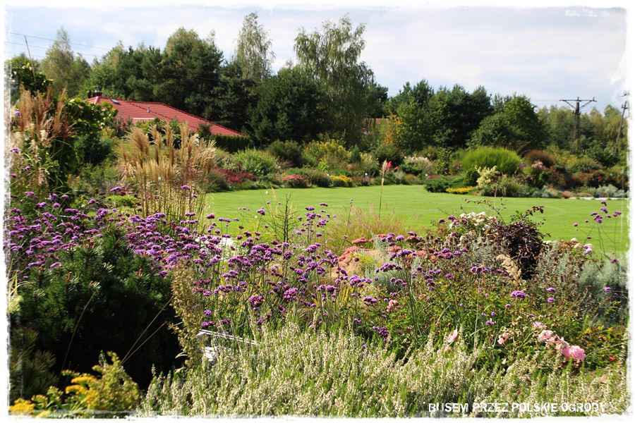 mieszanki trawnikowe 30f