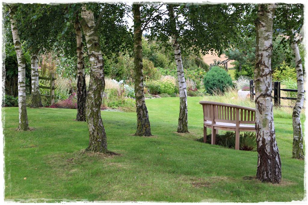 mieszanki trawnikowe 40a