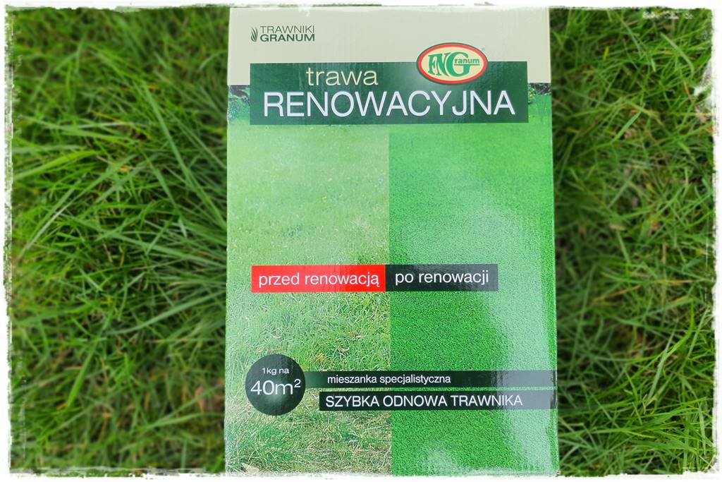 mieszanki trawnikowe 40b