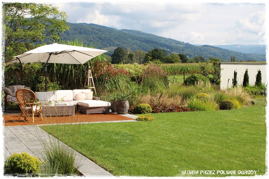 mieszanki trawnikowe 50