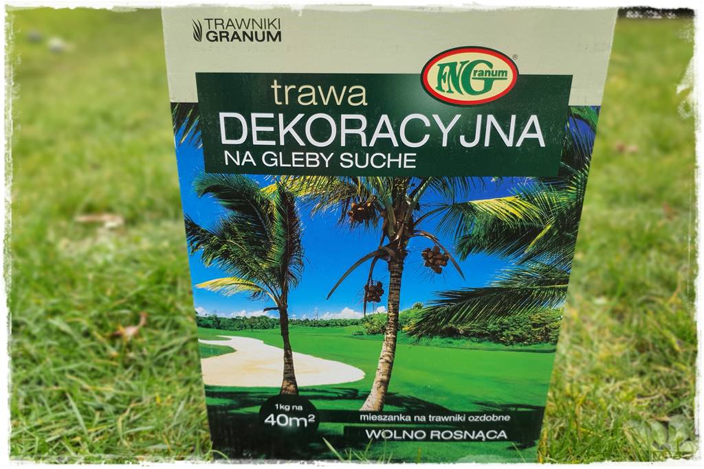 mieszanki trawnikowe 50b
