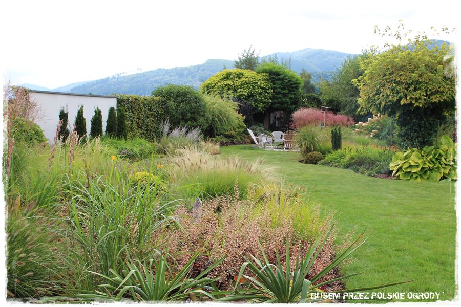 mieszanki trawnikowe 50d