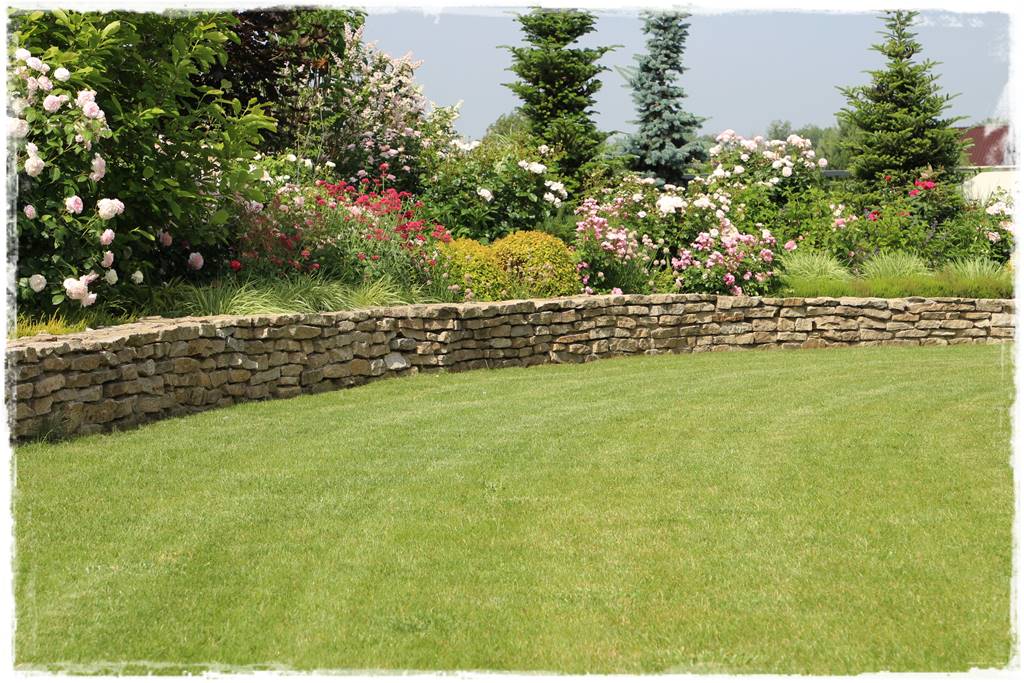 mieszanki trawnikowe 50e