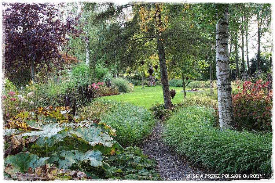 mieszanki trawnikowe 60c