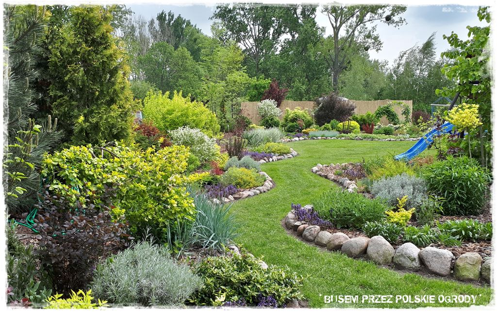 mieszanki trawnikowe 70c