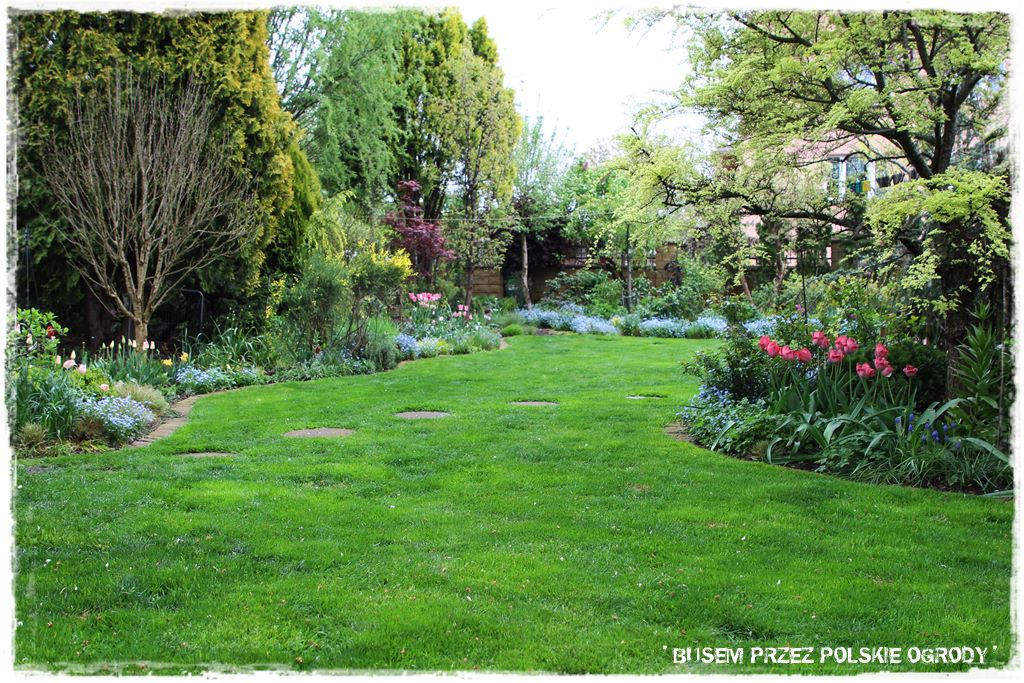 mieszanki trawnikowe 70d