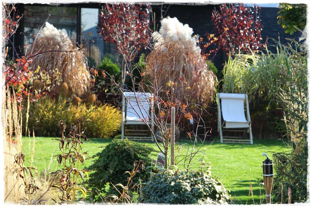 mieszanki trawnikowe 80d