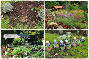 mikroorganizmy w ogrodzie 0