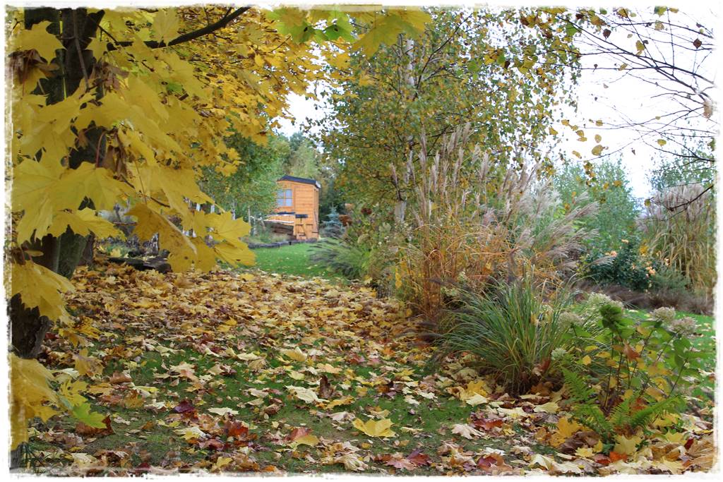 mikroorganizmy w ogrodzie 1