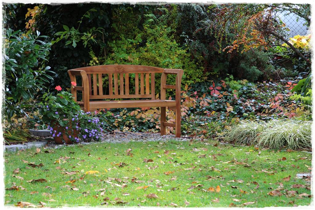 mikroorganizmy w ogrodzie 1a