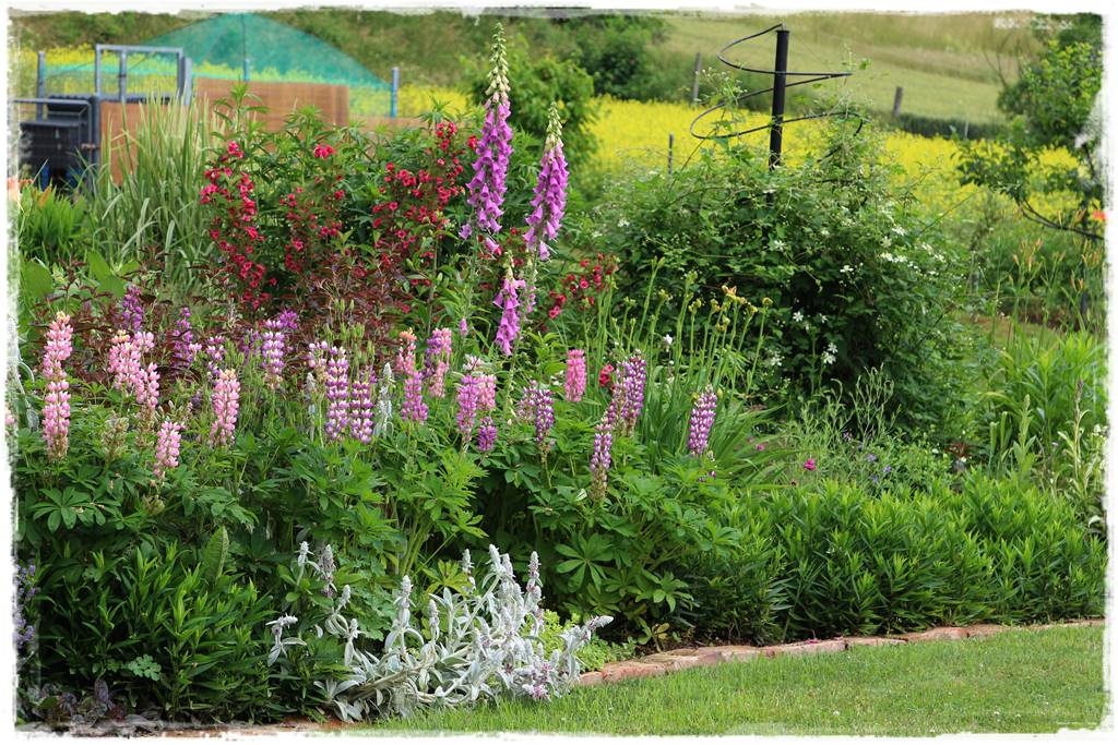 mikroorganizmy w ogrodzie 1b