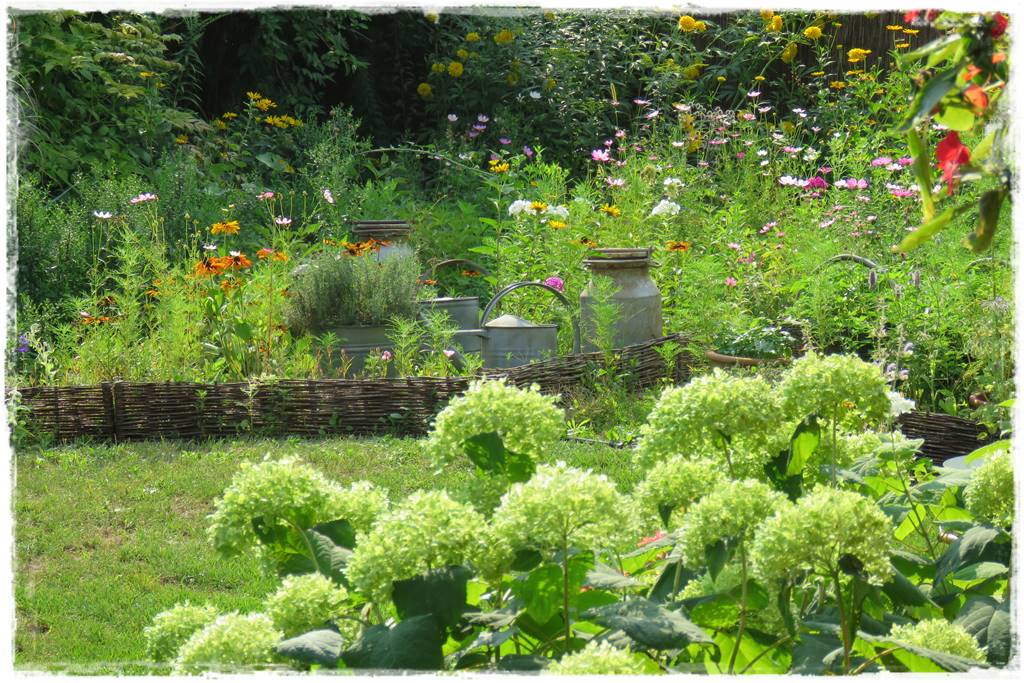 mikroorganizmy w ogrodzie 1c