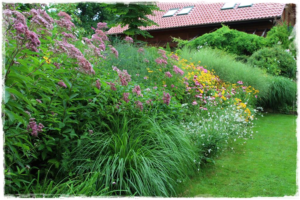 mikroorganizmy w ogrodzie 2