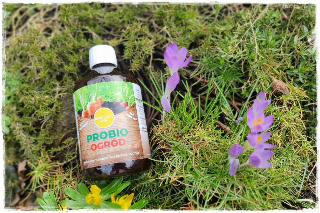 mikroorganizmy w ogrodzie 2c