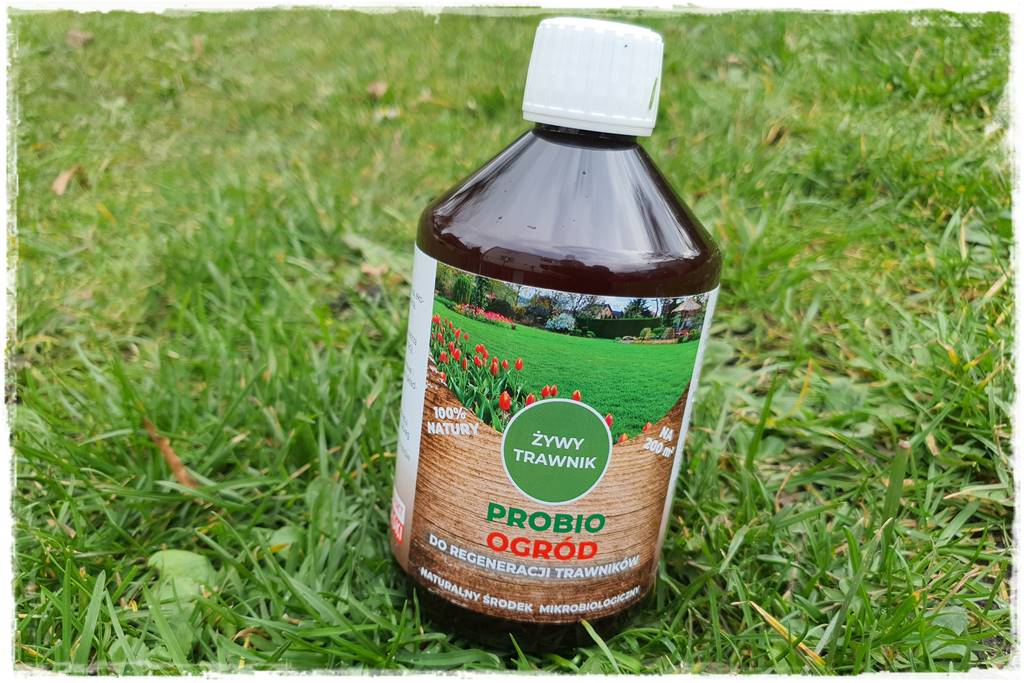 mikroorganizmy w ogrodzie 2d