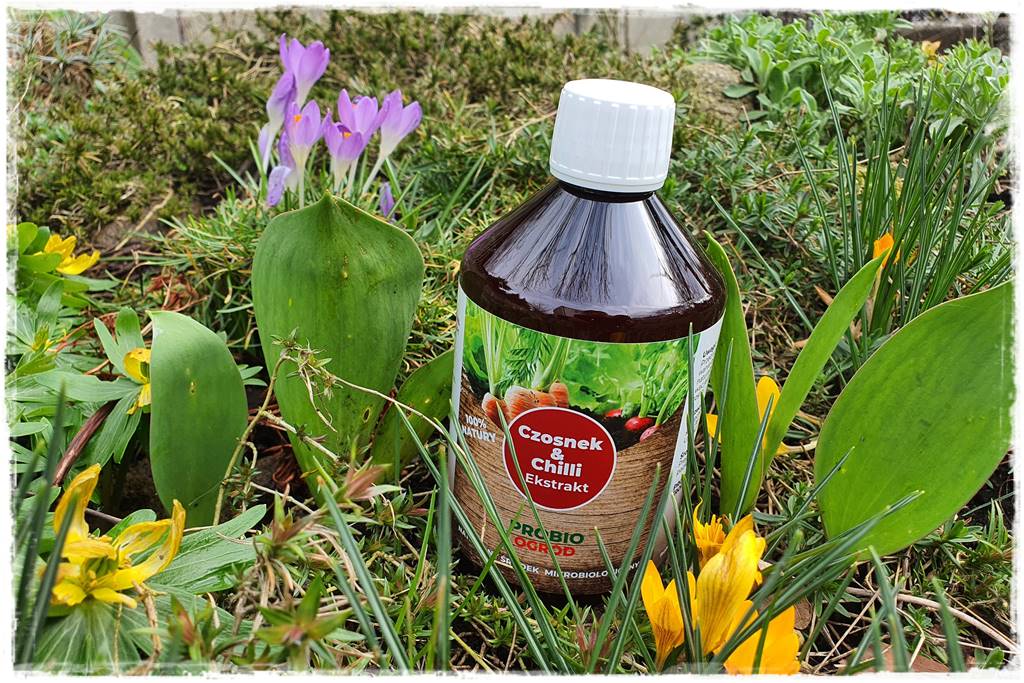 mikroorganizmy w ogrodzie 2f