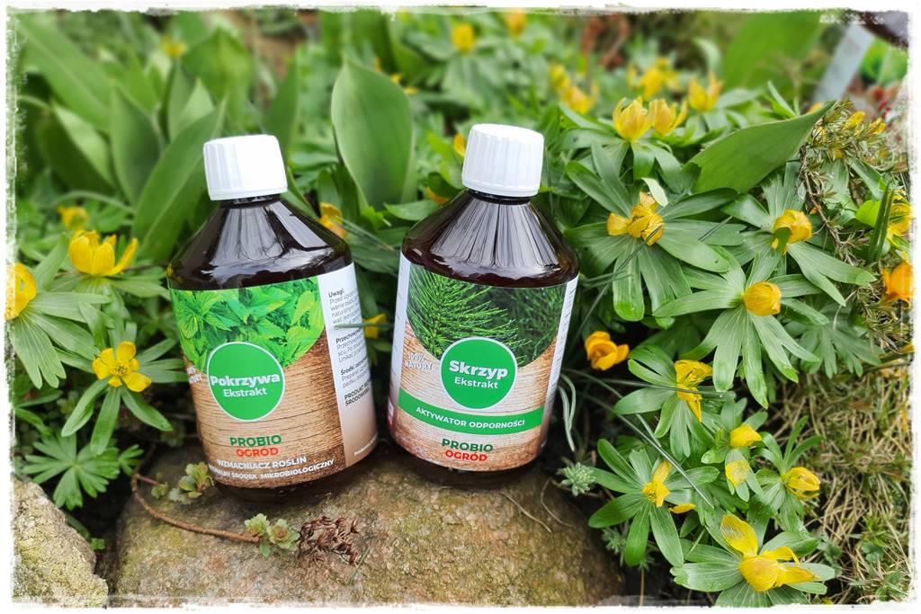 mikroorganizmy w ogrodzie 2g