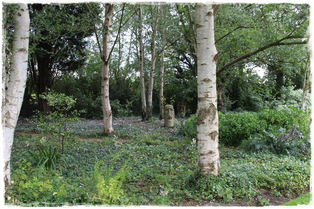 mikroorganizmy w ogrodzie 3