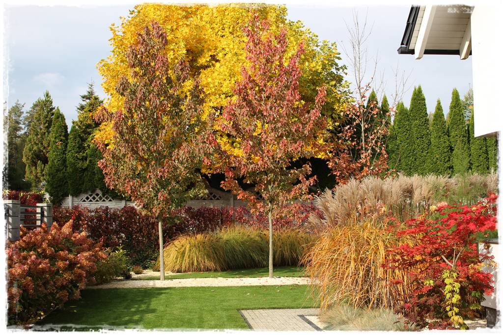 mikroorganizmy w ogrodzie 4