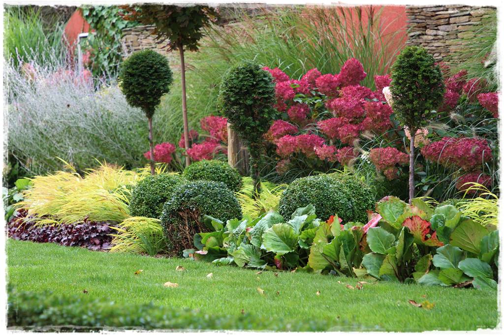 mikroorganizmy w ogrodzie 4a