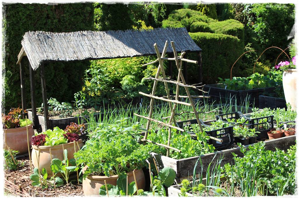 mikroorganizmy w ogrodzie 5