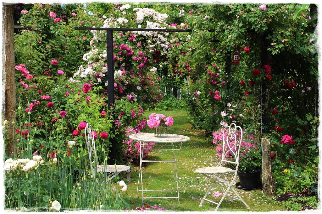 mikroorganizmy w ogrodzie 5b