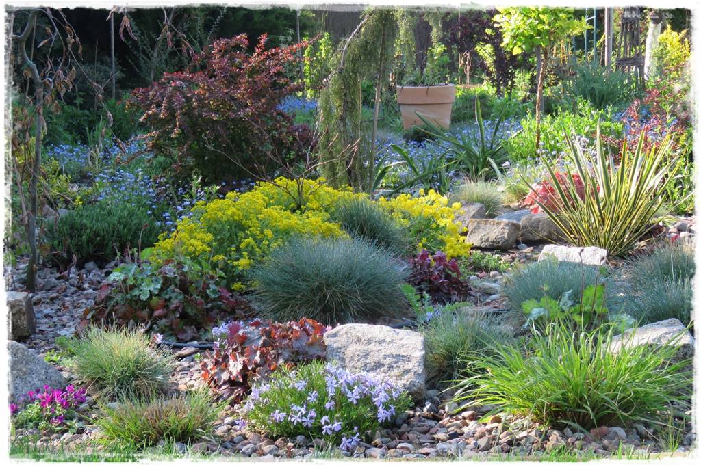 mikroorganizmy w ogrodzie 6