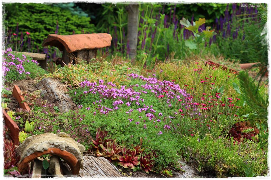 mikroorganizmy w ogrodzie 6a