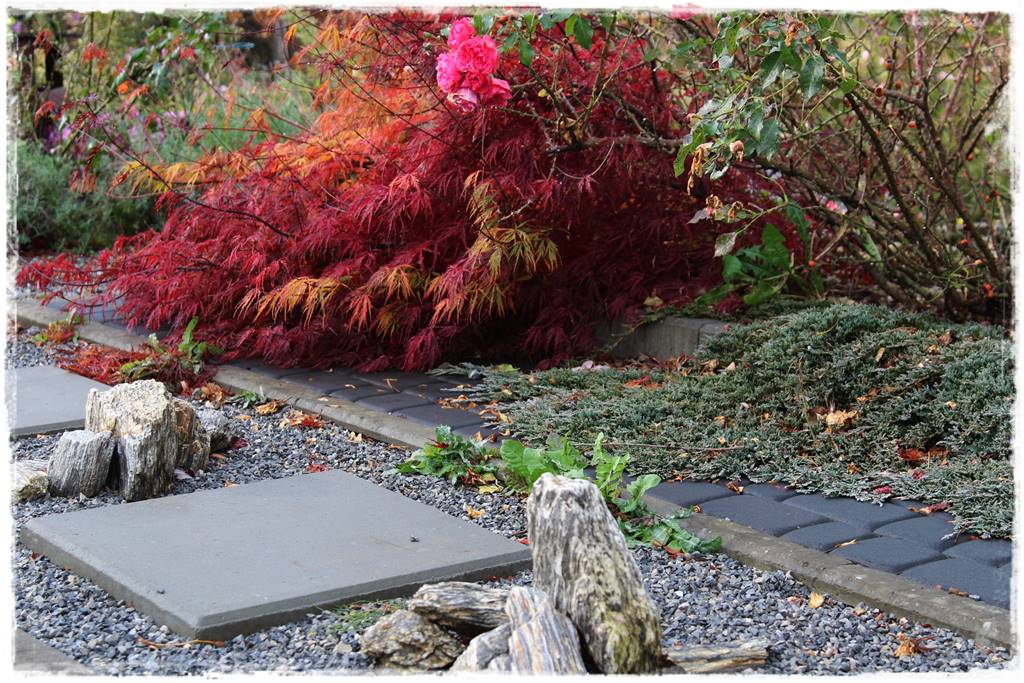 płytka gnejsowa 1 płytka gnejsowa 1