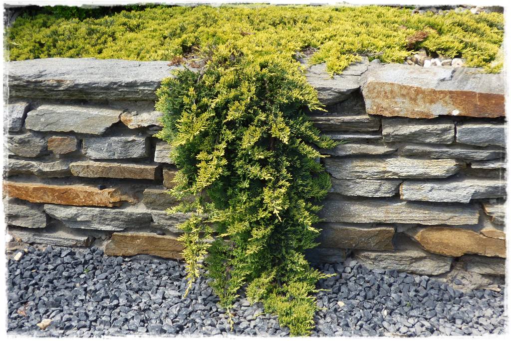 płytka gnejsowa 10a płytka gnejsowa 10a