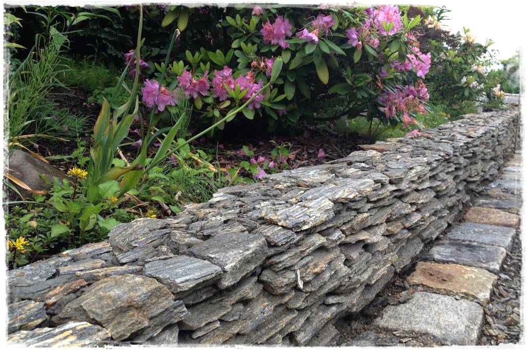 płytka gnejsowa 10c płytka gnejsowa 10c