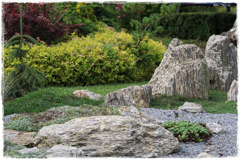 płytka gnejsowa 20 płytka gnejsowa 20