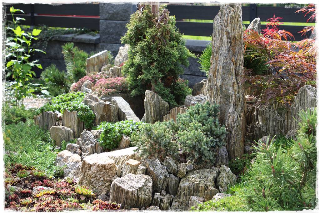 płytka gnejsowa 20d płytka gnejsowa 20d