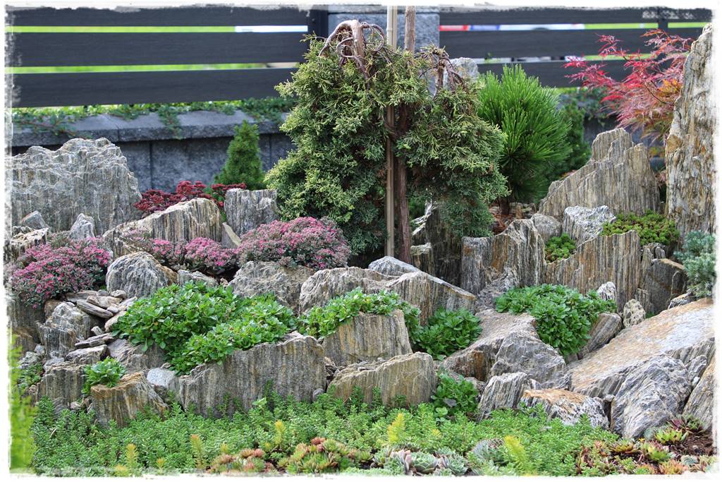 płytka gnejsowa 20e płytka gnejsowa 20e