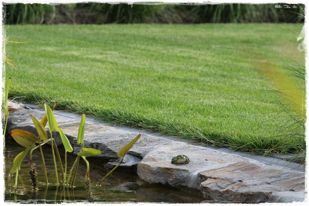 płytka gnejsowa 30a płytka gnejsowa 30a