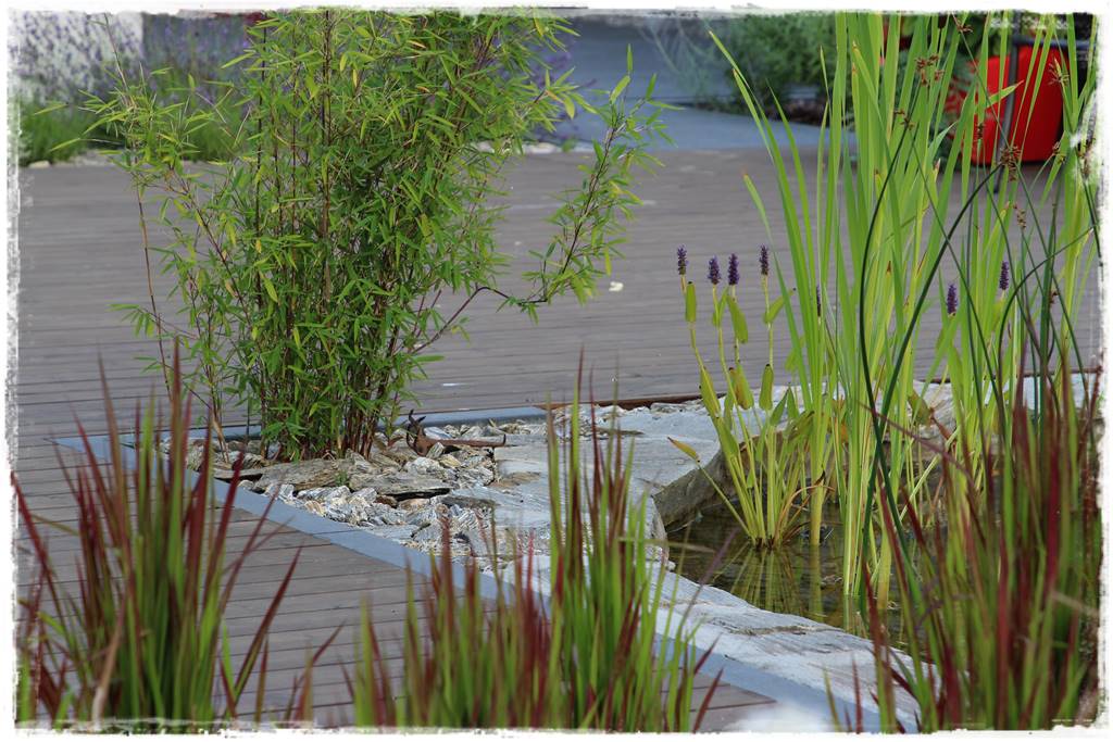 płytka gnejsowa 30b płytka gnejsowa 30b