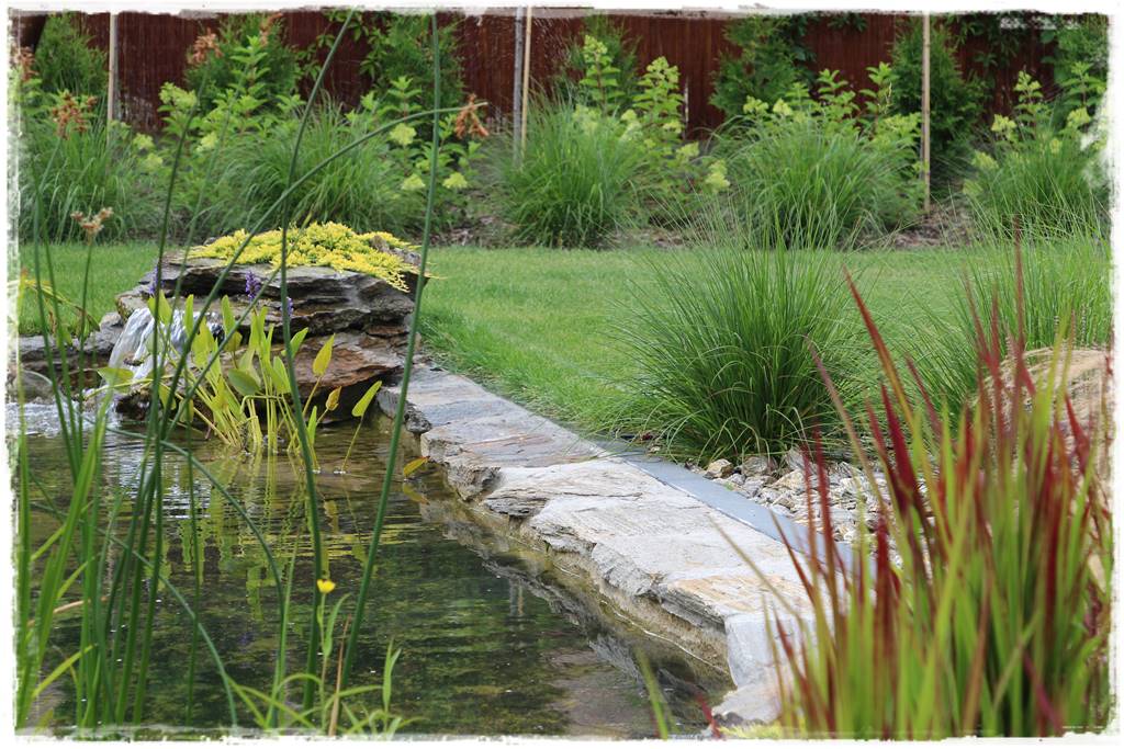 płytka gnejsowa 30c płytka gnejsowa 30c