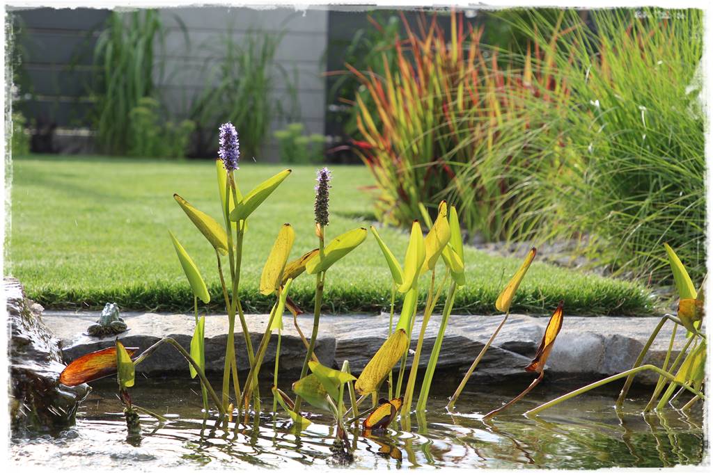 płytka gnejsowa 30f płytka gnejsowa 30f