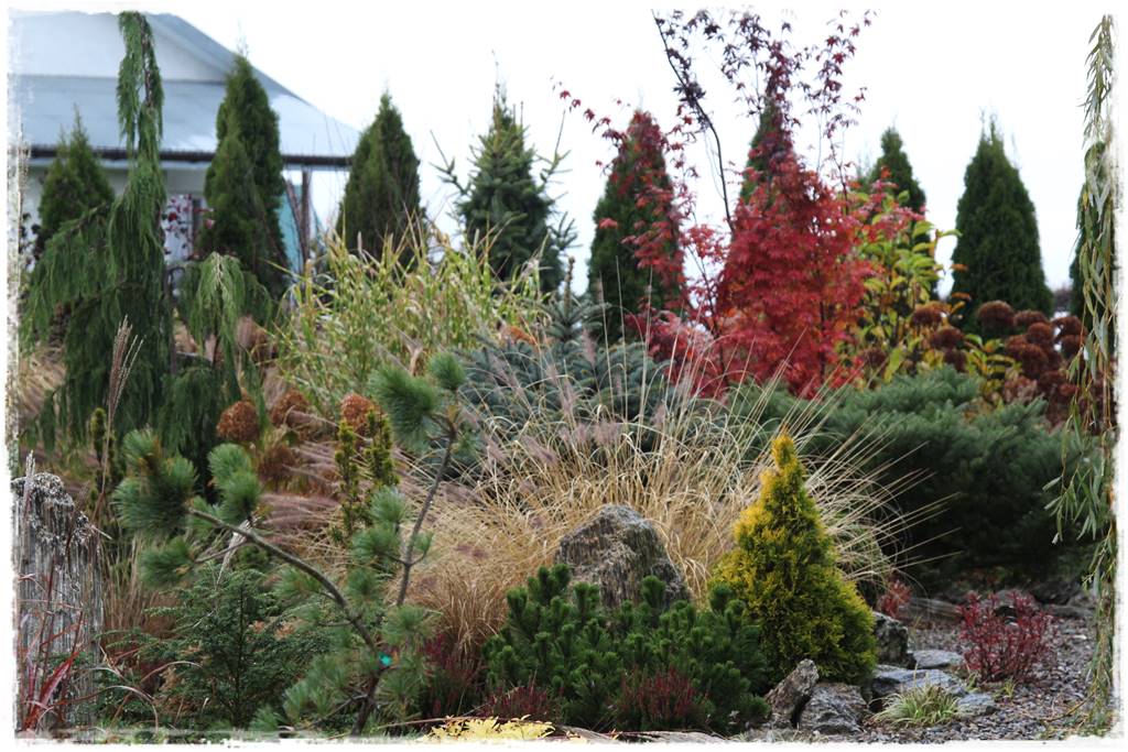 płytka gnejsowa 70a płytka gnejsowa 70a