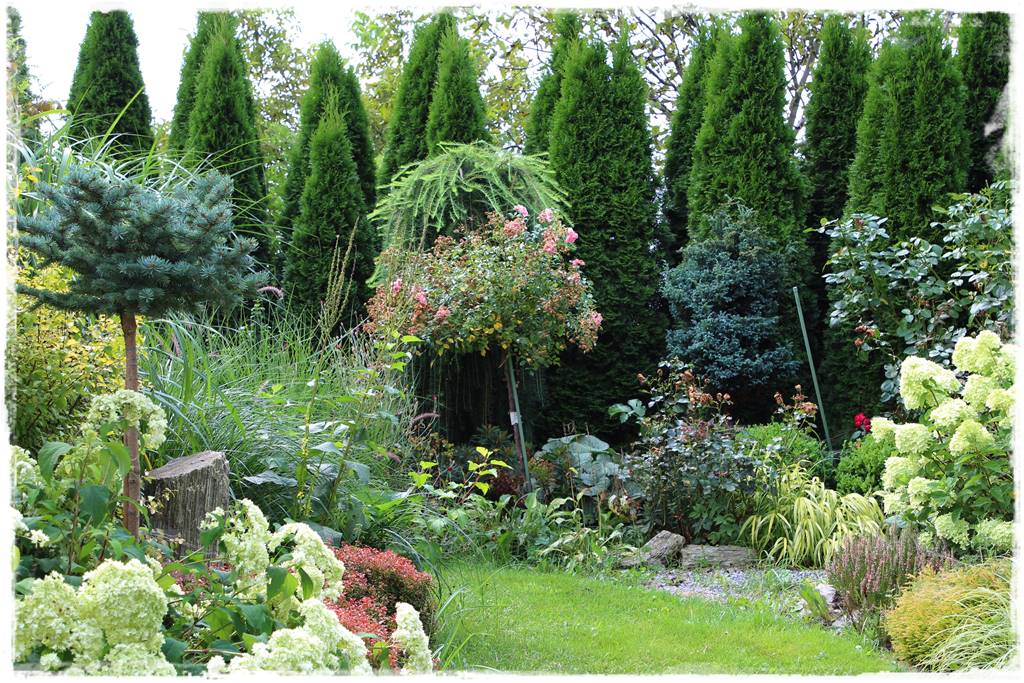 płytka gnejsowa 70c płytka gnejsowa 70c