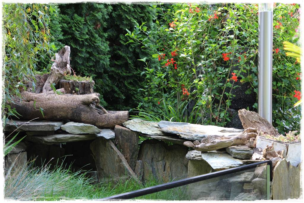 płytka gnejsowa 90a płytka gnejsowa 90a