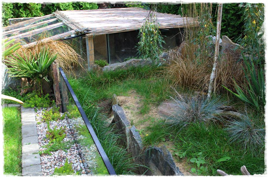 płytka gnejsowa 90b płytka gnejsowa 90b