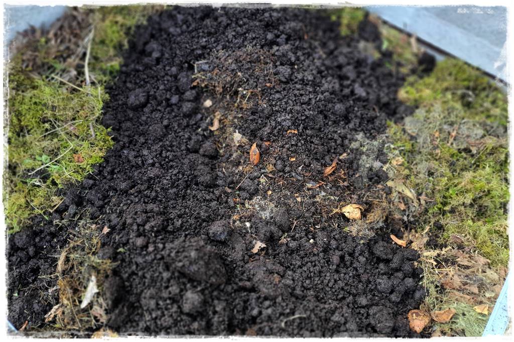 Czym wypełnić podwyższone grządki 10a Czym wypełnić podwyższone grządki 10a